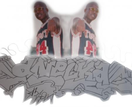    ANELKA
